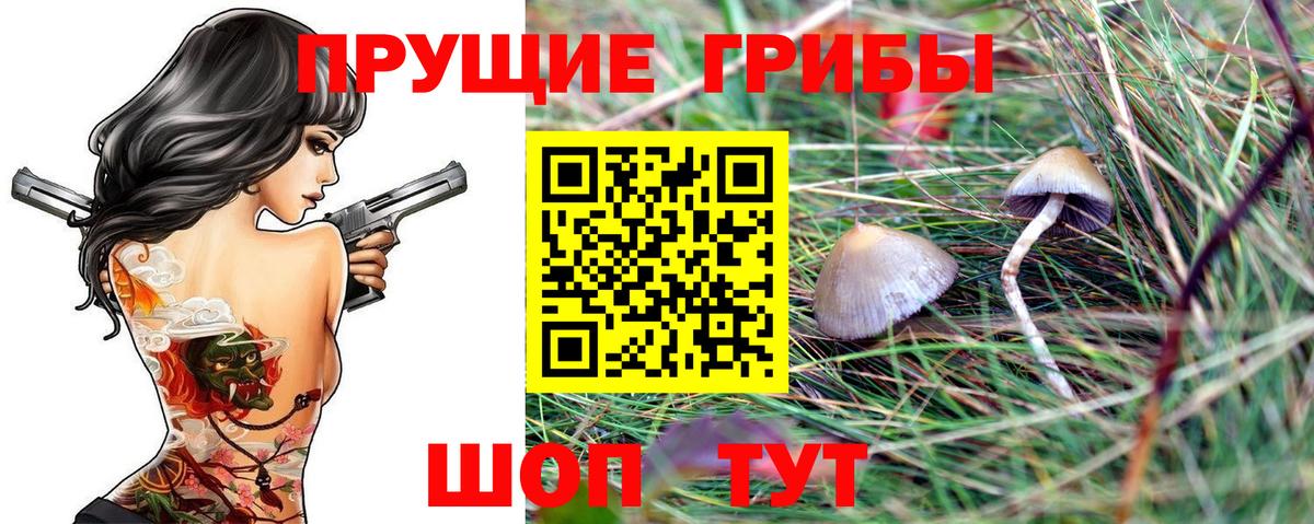 Псилоцибиновые грибы прущие грибы  Галлюциногенные грибы мицелий  Вход с VPN  наркота  Бердск 