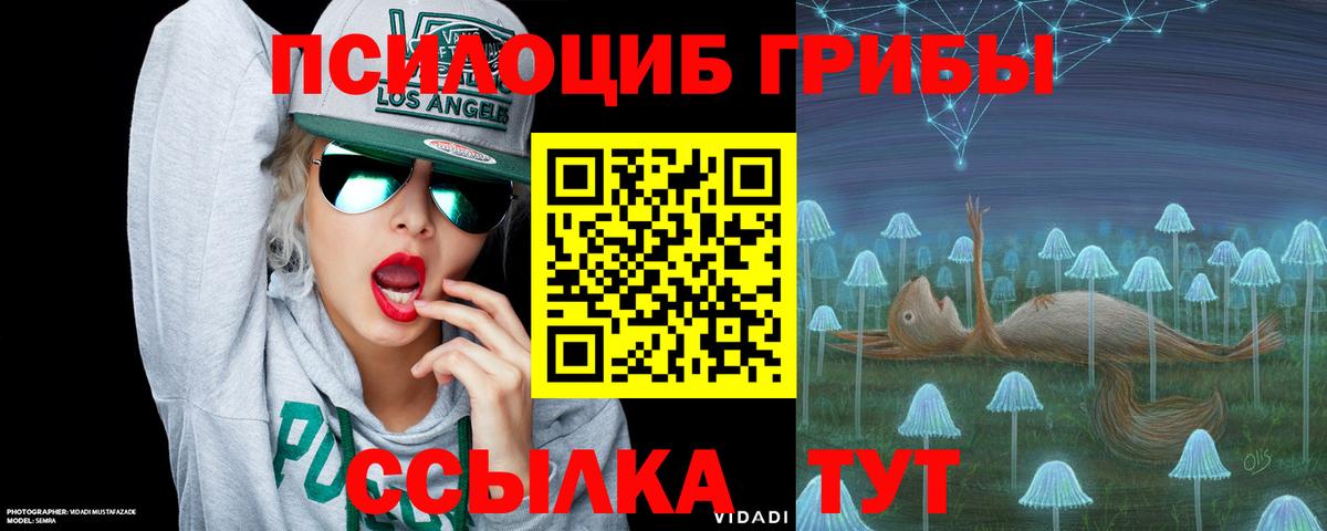 Галлюциногенные грибы ЛСД Бердск