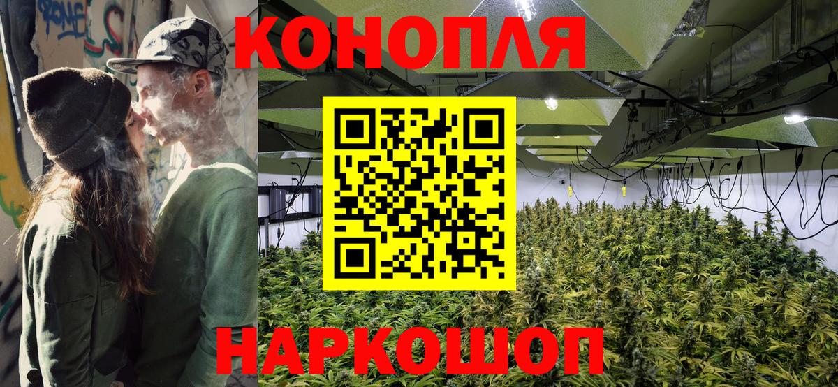 Конопля AK-47  Вход с VPN  Каннабис семена  Бошки марихуана VHQ  Бердск  Бошки марихуана Bruce Banner 